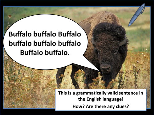 Buffalo...
