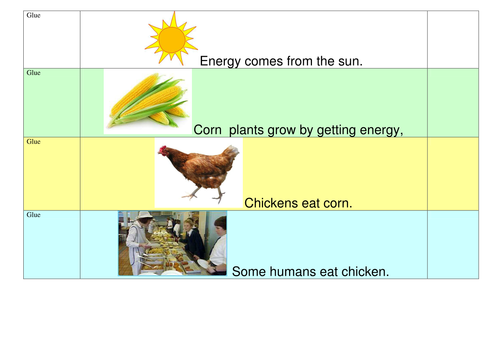 Food chain activity sheet