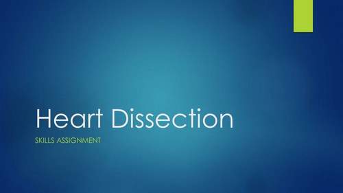 Heart Dissection