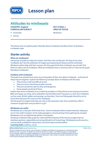 Minibeasts - Attitudes to minibeasts