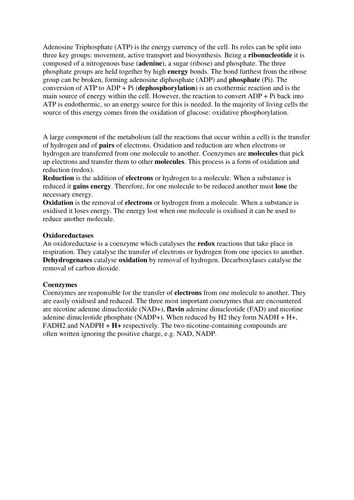 ATP - correct the mistakes