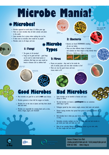e-Bug Microbe Mania Poster