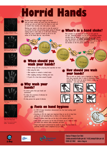 e-Bug Horrid Hands Poster