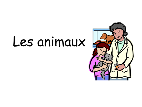 Les animaux, les couleurs, l'accord de l'adjectif