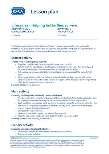 Lifecycles - Helping butterflies survive