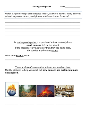 Endangered Species Worksheet