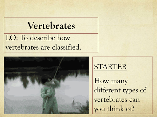 Vertebrate Classification Quiz / Activity