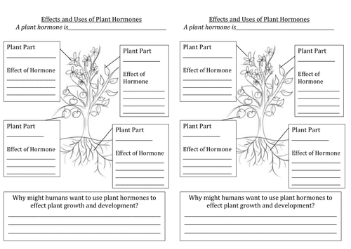 Effects and Uses of Plant Hormones