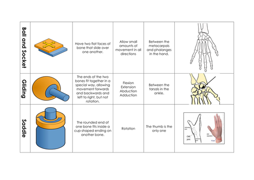 Joint Classification