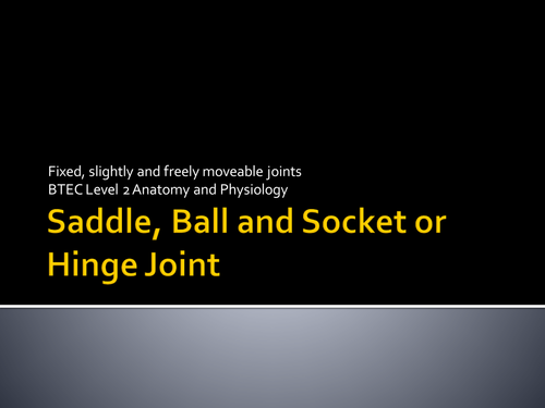Joint Type Quiz - Saddle, Ball and Socket or Hinge