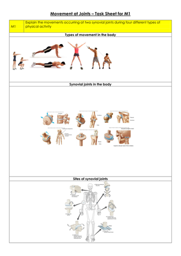 Movement Analysis