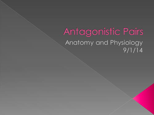 Antagonistic Pairs