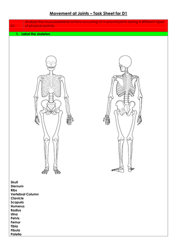 Movement Analysis for the Musculoskeletal System