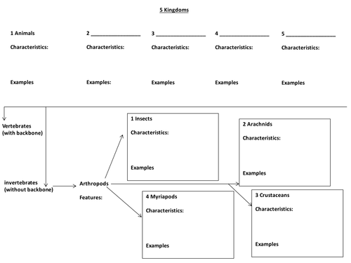 Classification PPT OCR Gateway B2