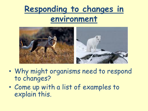 Responding to environment, Plants and Tropisms