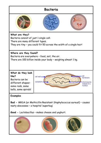 Microorganisms, Free Full-Text