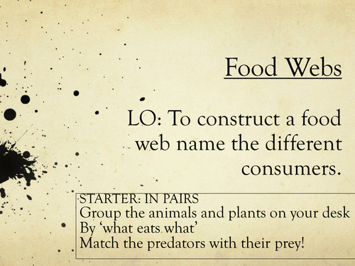 Fantasy Food Web