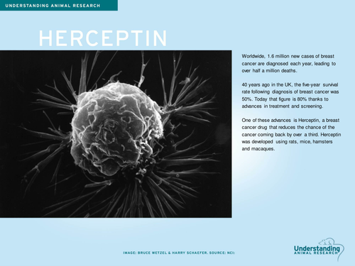 Herceptin: the story of a new medicine