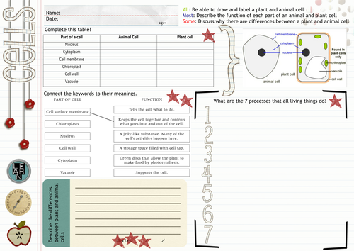 Cells Interactive Worksheet | Teaching Resources