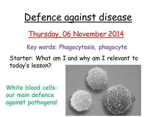 AQA B1 body defences