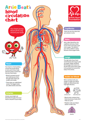 cardiovascular system poster presentation