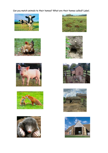 Match animals to their homes