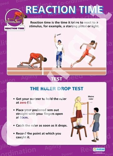 Fitness Test For Reaction Time