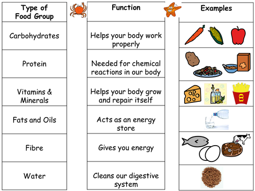 Intro To Food Groups And Differentiated Worksheets | Teaching Resources