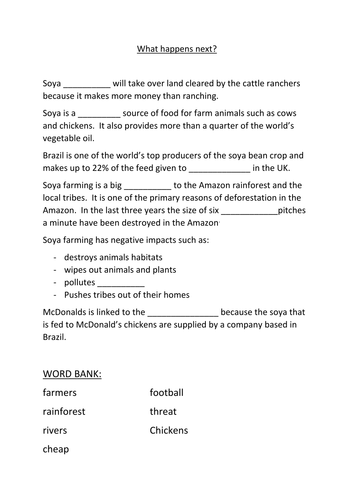 Cattle Ranching in the Amazon Rainforest