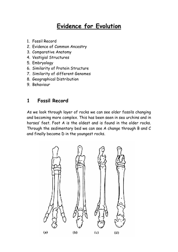 Natural selection topic 4 Edexcel