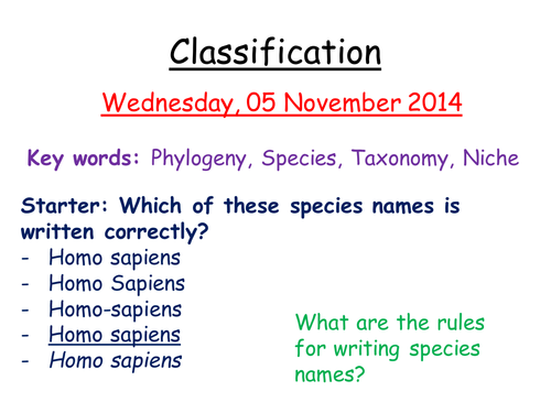 Phylogeny and classification