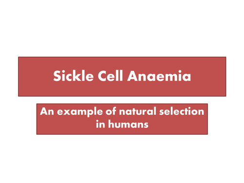 Natural Selection and Sickle Cell Anaemia