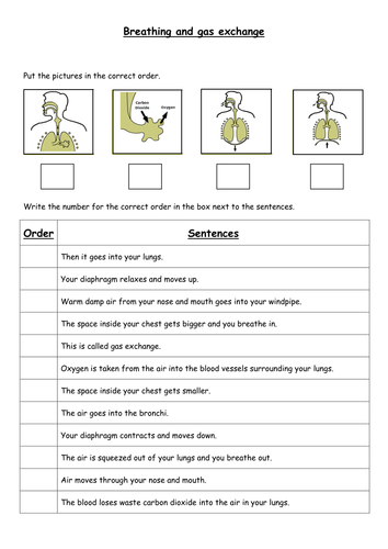 Breathing and gas exchange