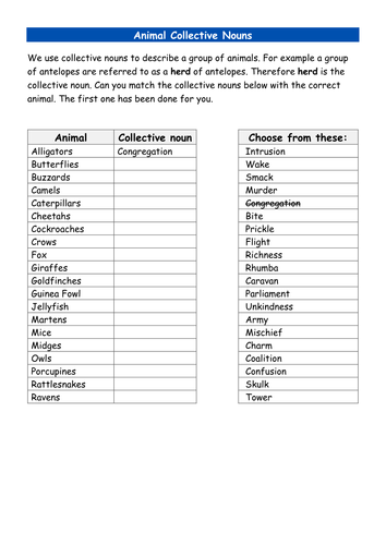 Collective nouns starter