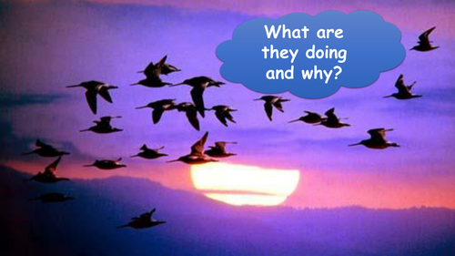 Migration in Italy + Informal Letter Writing