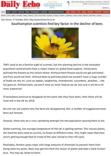 Where have the bees gone? - News story
