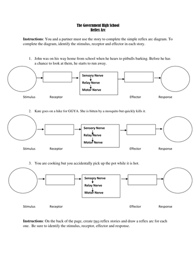 Reflex Arc Story | Teaching Resources