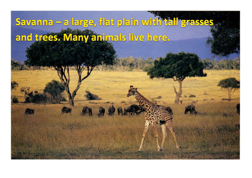 KENYA DISPLAY RESOURCES