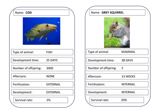 Animal reproduction strategies | Teaching Resources