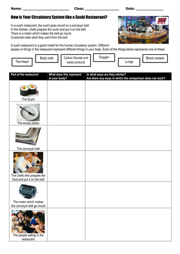 Circulatory system - Sushi analogy @ELSS_Biology