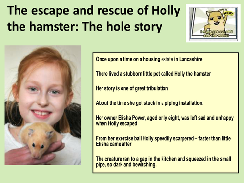 Holly the Hampster