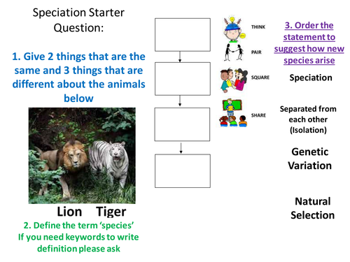 Speciation Lesson
