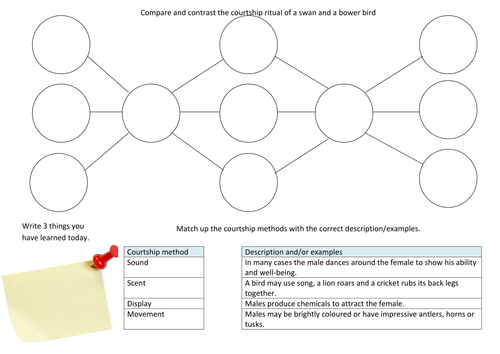 Courtship methods