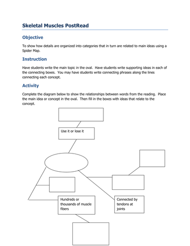 Skeletal Muscles | Teaching Resources