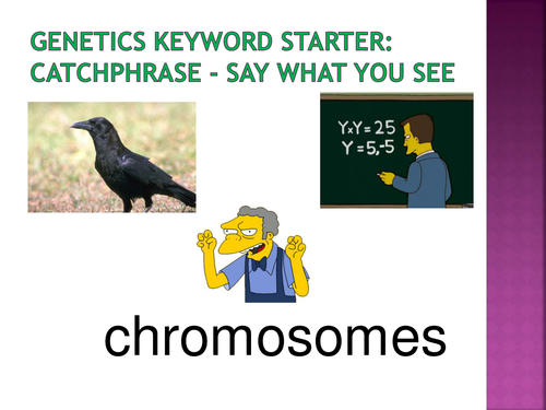 B1 - Genetics Lesson