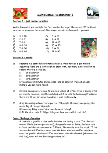 Multiplicative Relationships