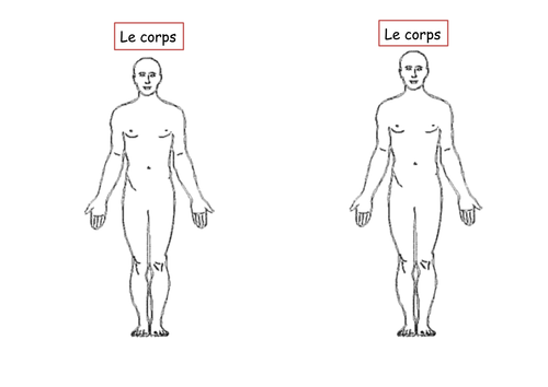 Le corps