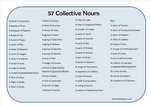 57 Collective Nouns Learning Mat Teaching Resources