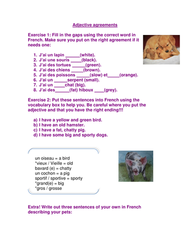 Adjective endings worksheet