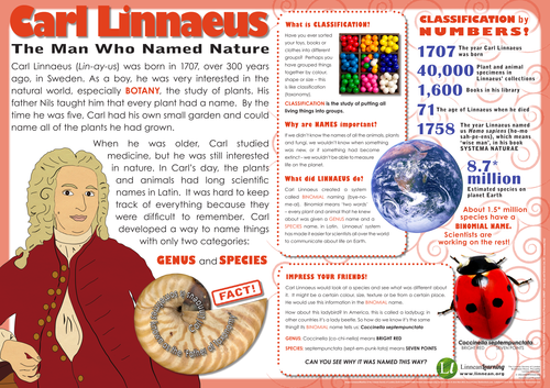 Linnaeus Poster